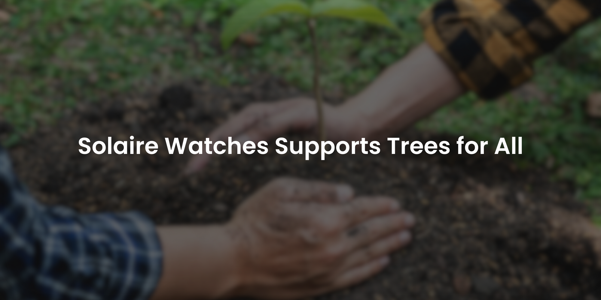 Solaire Watches supports Trees for All